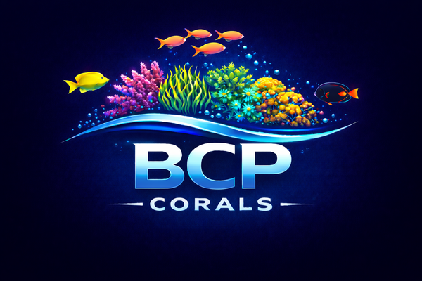 BCP Corals