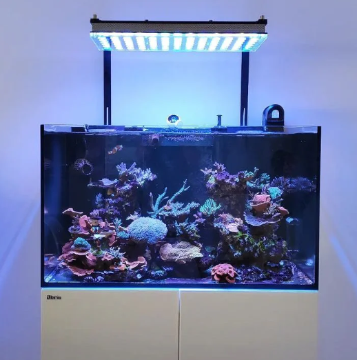 Orphek Atlantik iCon